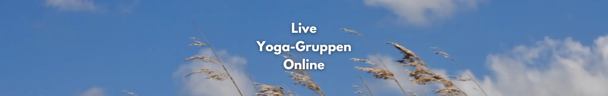 Yogakurs online & live: Erfahre hier die Details
